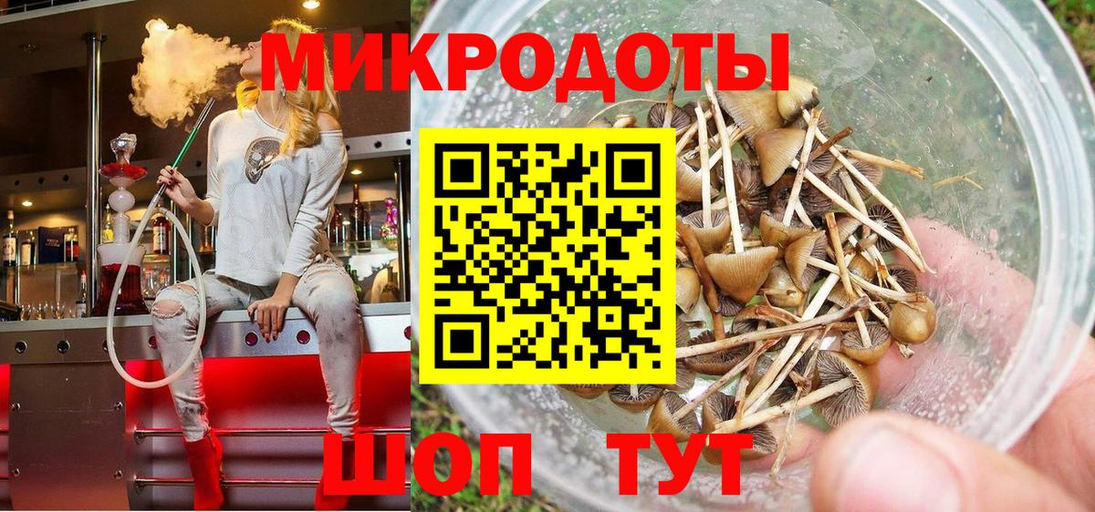 Сертолово  Псилоцибиновые грибы Cubensis  Вход с VPN 