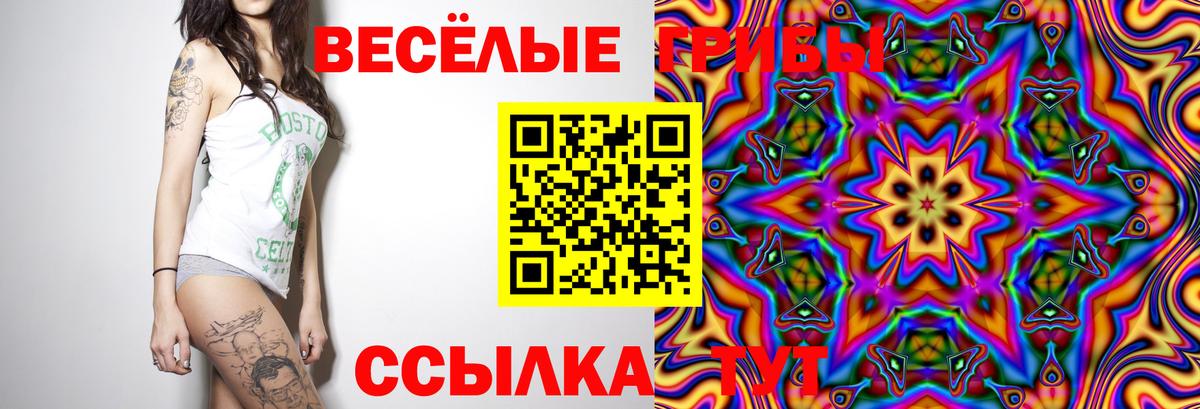 Галлюциногенные грибы Psilocybine cubensis Сертолово