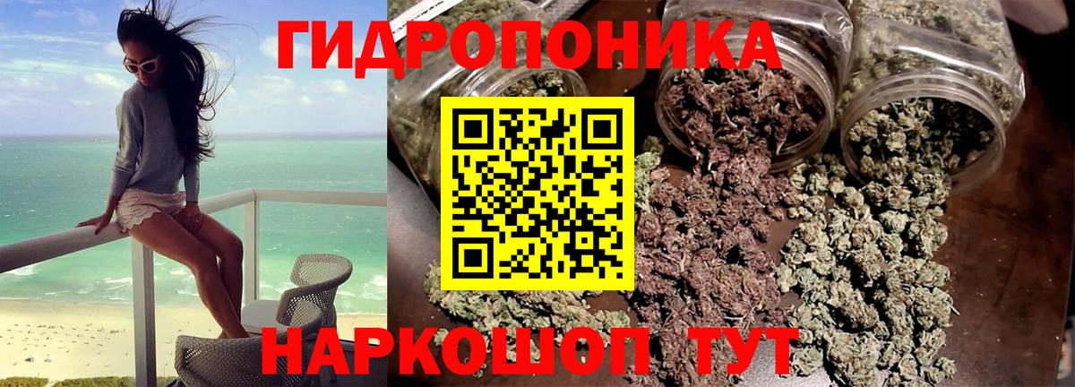 Бошки марихуана индика Сертолово